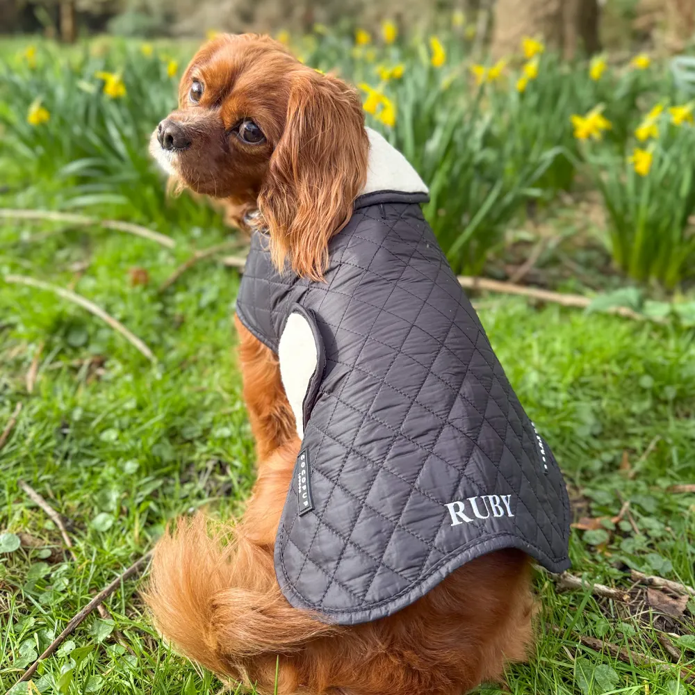 LUXE Quilted Dog Coat - Midnight Black
