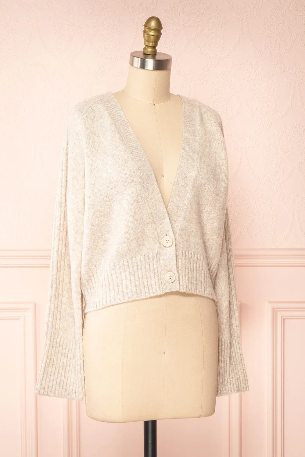 Sansia Beige | Soft V-Neck Cardigan