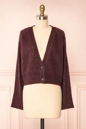Sansia Wine | Soft V-Neck Cardigan