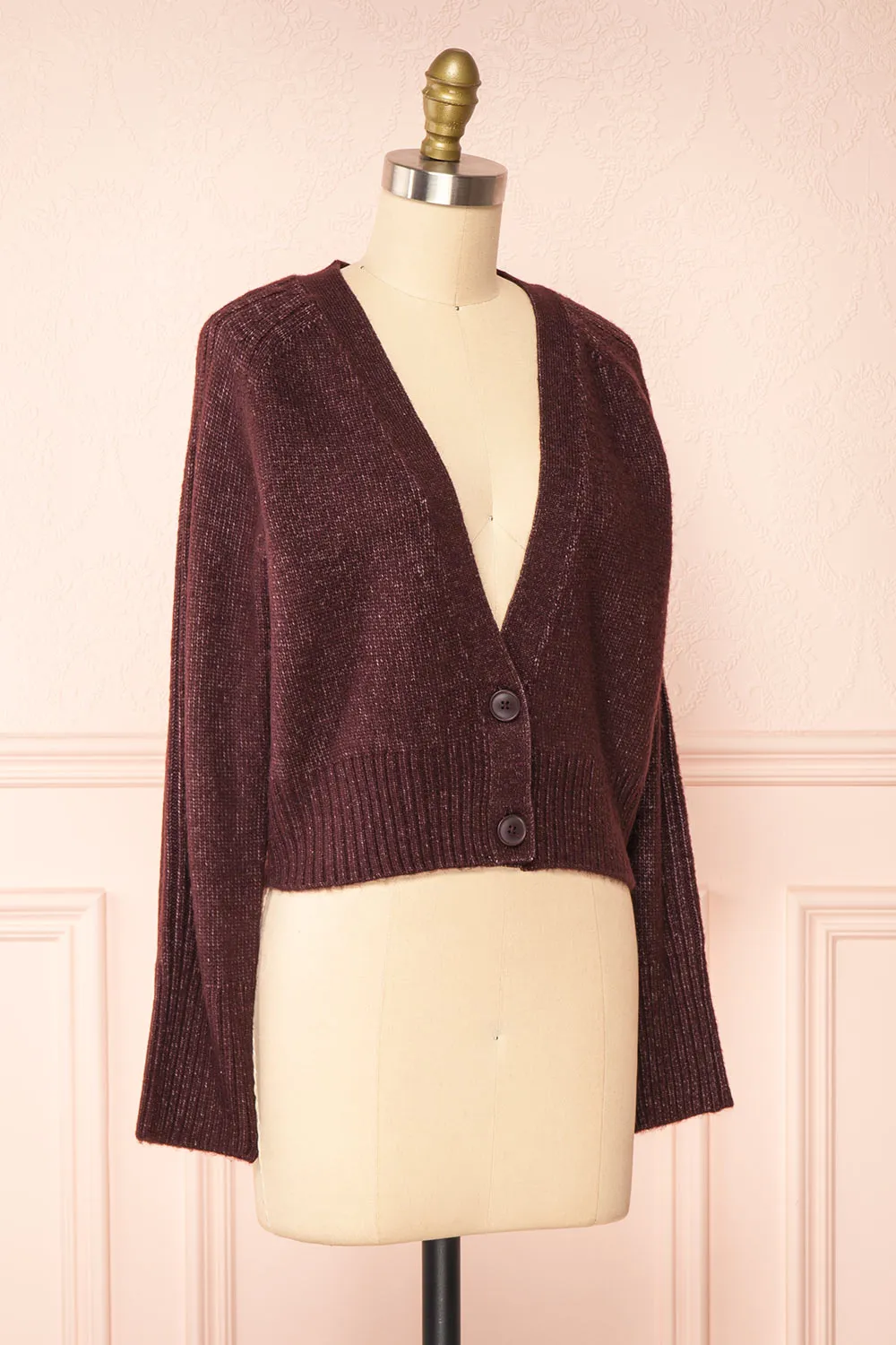 Sansia Wine | Soft V-Neck Cardigan